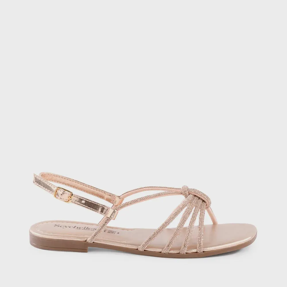 COASTING in Rose Gold