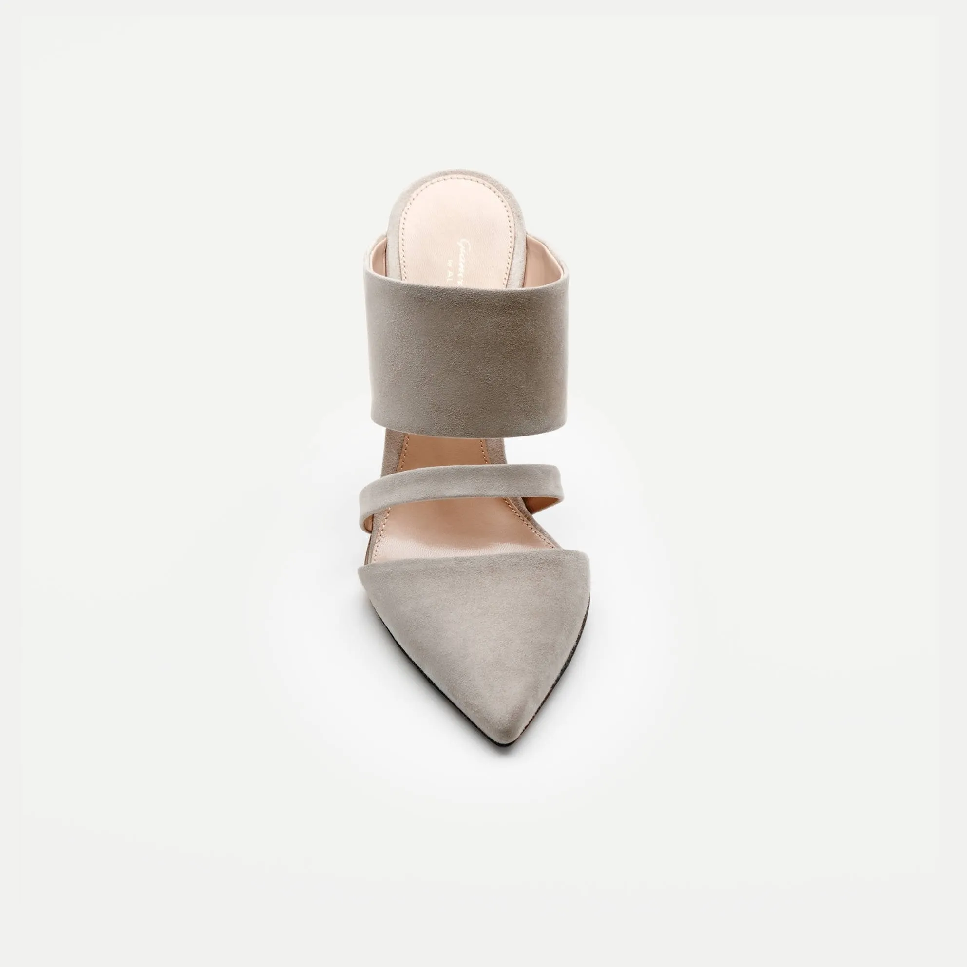 Mule - Shell