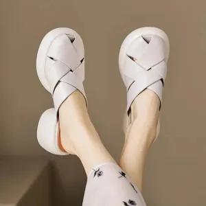 Stellar Step Mule